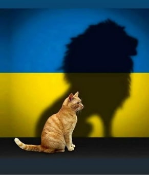 27567.jpg