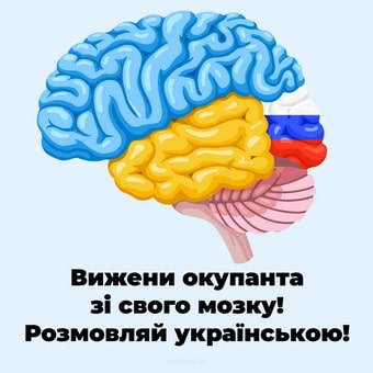 275757.jpg