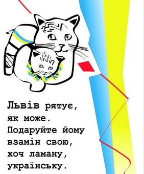 2757907.jpg