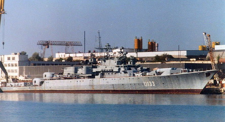 U133.jpg