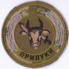 ЗСУ ВМС кр Прилуки 4+.jpg