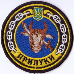 ЗСУ ВМС кр Прилуки 1+.jpg