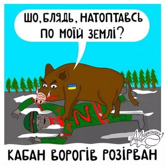 мошк_кабан.jpg