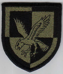 ЗСУ ООН ПУБ кокарда+.jpg