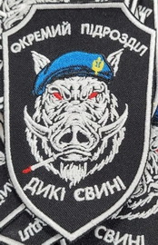 ДС.jpg