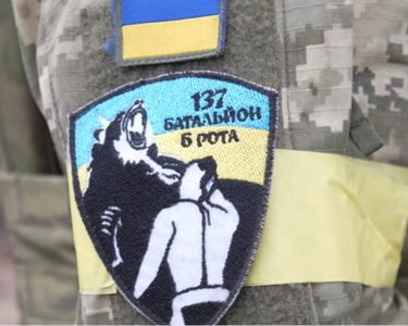 137 бто ф1.jpg