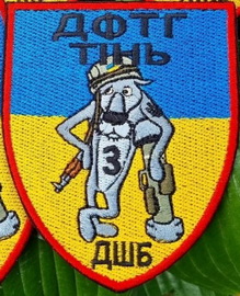 дф3 Тінь дшб.jpg