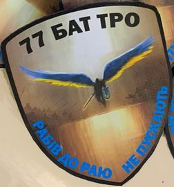 77.jpg