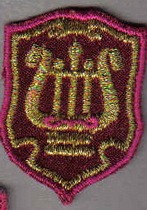 петлица оркестр +.jpg