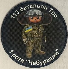 113 бто.jpg