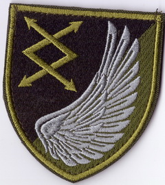 31 опз ПвС 1 2+.jpg