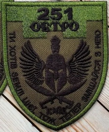 251 бто.jpg