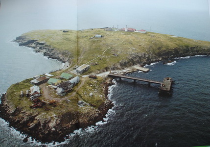 остров Змеиный.jpg