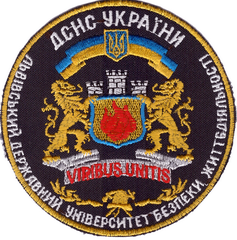 ЛДУБЖД ДСНС 24+.png