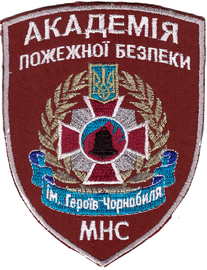 ЧАПБ МНС 11+.png