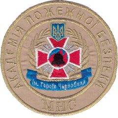 ЧАПБ МНС 22+.png