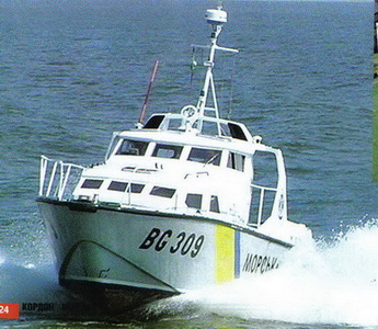 БГ-309.jpg