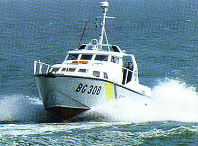 БГ-308.jpg
