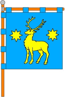 P1NYZHAN.jpg
