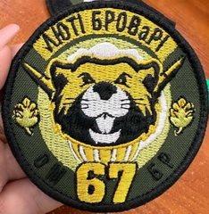 67 омбр ЛБ.jpg