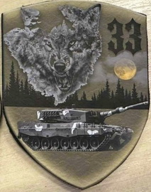 33 омбр тб.jpg