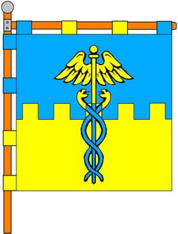 P1RAVA.jpg