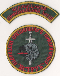 псн 31 пз Яструб 1.jpg