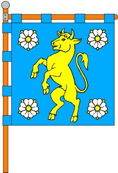P1KELMEN.jpg