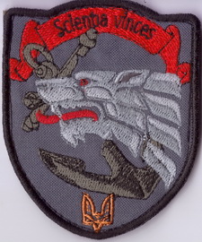 с173224+.jpg