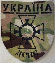 ДСНС 8.jpg