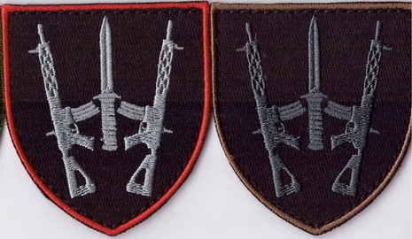 67 омбр+.jpg