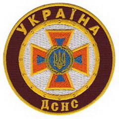ДСНС 1-11.jpg