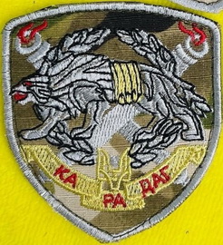 3029.jpg