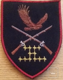 426.jpg