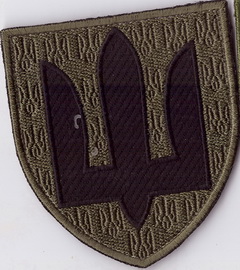 т1+.jpg