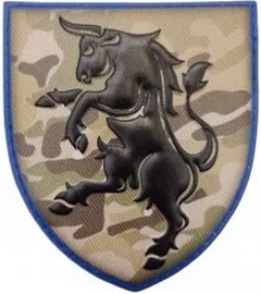 43.png
