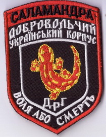 ДУК Саламандра 2+.jpg