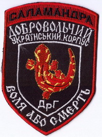 ДУК Саламандра 1+.jpg