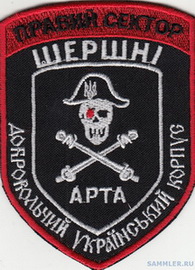 ДУК ПС Шершни Арта 2.jpg
