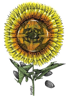 31-03.08.24-1зм.jpg