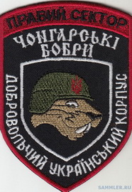 ДУК ПС ЧБ+.jpg