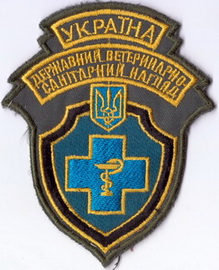 ДВСН+.jpg