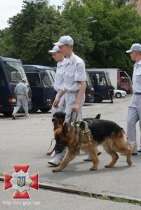 кинолог 54.jpg