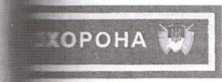 Нагрудна нашивка працівників ДСО.jpg