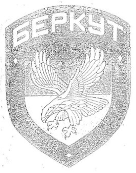 3. Нарукавна нашивка для СП Беркут - копия.jpg
