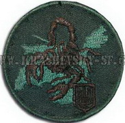 2222 псп Скорпіон б3.jpg