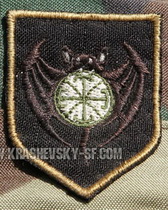 2222 псо Тінь б5.jpg