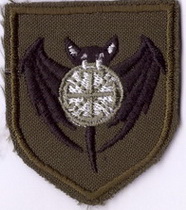 2222 псо Тінь б3+.jpg