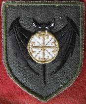 2222 псо Тінь б1.jpg