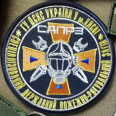 СДПРЗ Києв.jpg